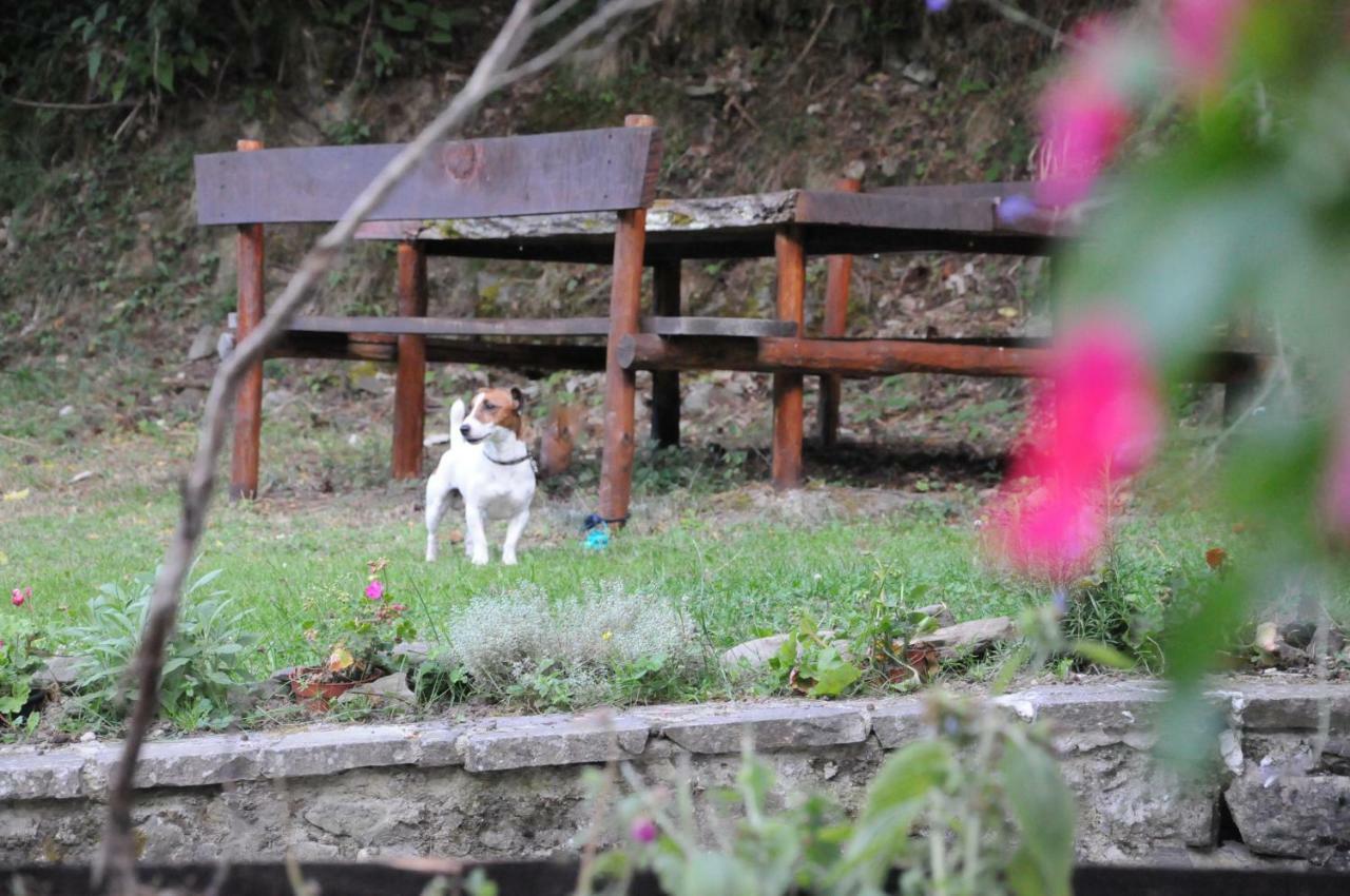 Il Molino Di Serravalle Bibbiena Esterno foto